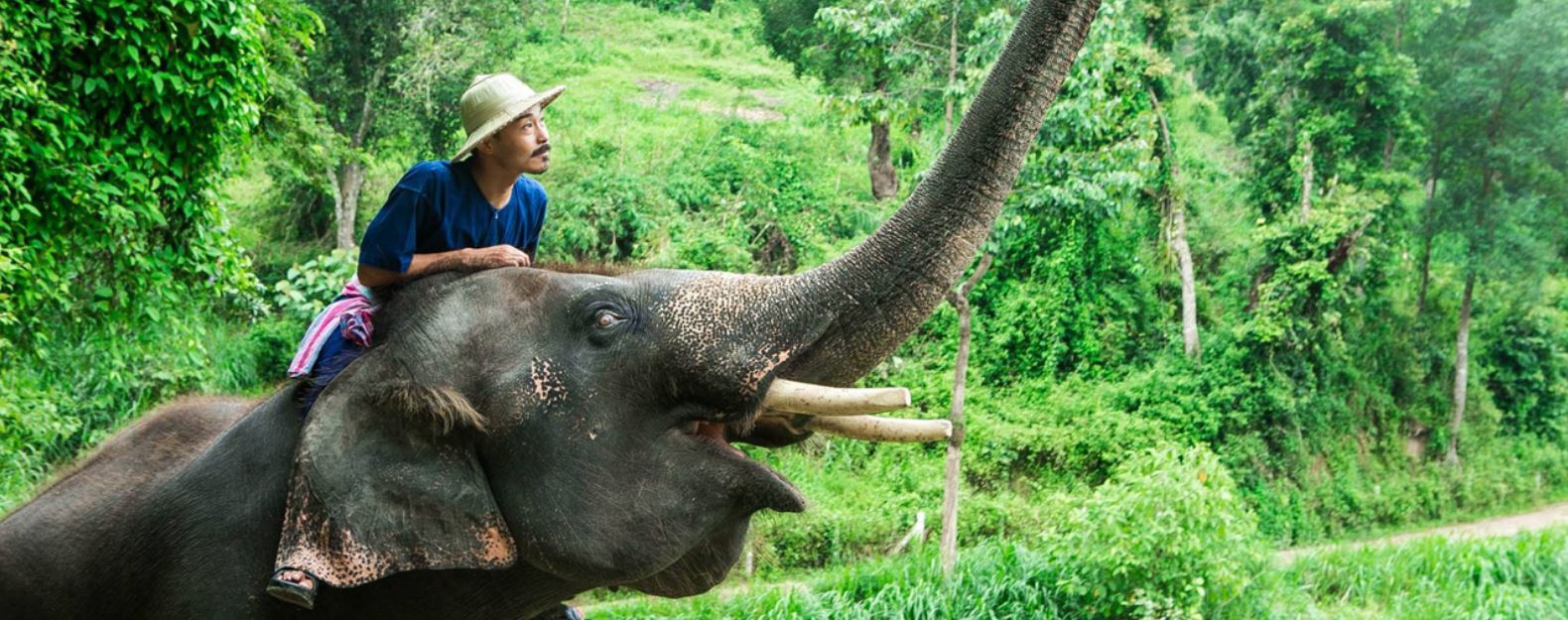 mahout travel agent