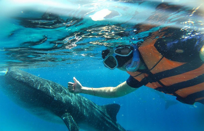 ทัวร์เอเชีย ฟิลิปปินส์ เซบู  เนินเขาช็อคโกแลต น้ำตกคาวาซัน Sumilon island  ชมฉลามวาฬ 5 วัน 3 คืน สายการบินฟิลิปปินส์ แอร์ไลน์