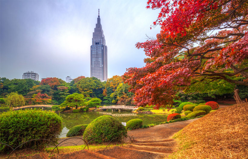 ทัวร์ญี่ปุ่น โตเกียว ชมใบไม้เปลี่ยนสี ภูเขาทาคาโอะ สวนชินจูกุเกียวเอ็น ตลาดปลาสึกิจิ ย่านชินจูกุ Fuji International Marathon 2024 6 วัน 4 คืน สายการบินเจแปน แอร์ไลน์