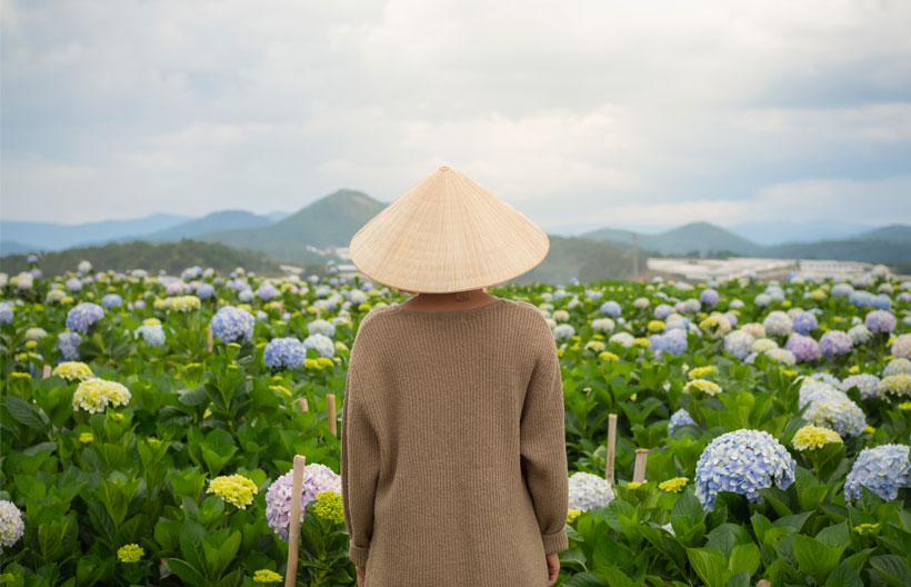 ทัวร์เวียดนามใต้ ญาจาง ดาลัด สวนสนุกวินวันเดอร์ วัดมังกร วัดลองเซิน  น้ำตกดาตันลา 4 วัน 3 คืน สายการบินแอร์เอเชีย