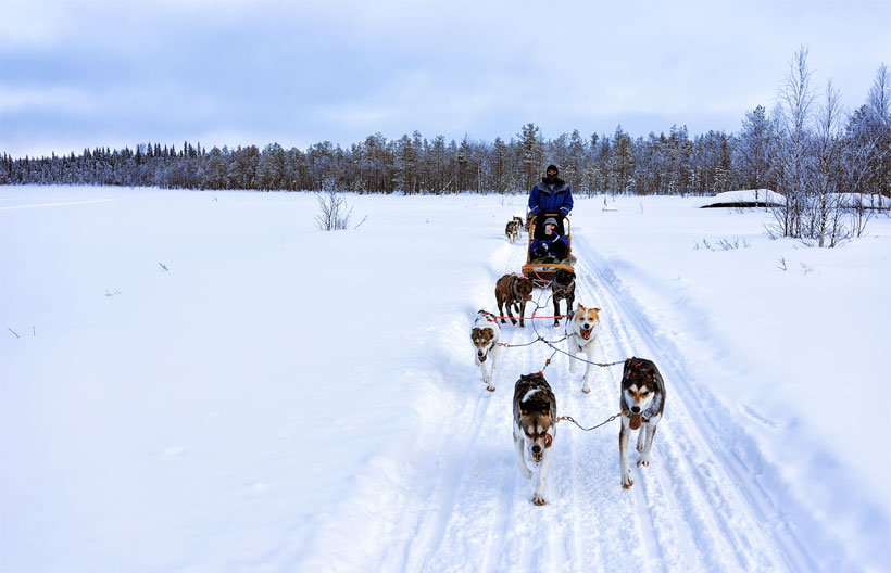 ทัวร์ยุโรป นอร์เวย์ สวาลบาร์ด เหนือสุดทวีปยุโรป ประตูสู่ขั้วโลกเหนือ Snowmobile ล่าแสงเหนือ ฮัสกี้ ซาฟารี 12 วัน 10 คืน สายการบินไทย