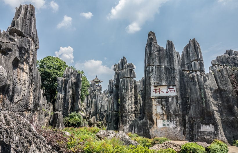 ทัวร์จีน คุนหมิง หยีเหลียง โหลวผิง ชมซากุระบานหุบเขาหยีเหลียง นั่งรถไฟชมทุ่งมัสตาร์ด 5 วัน 4 คืน สายการบินไทย