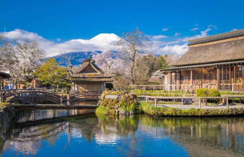 ทัวร์ญี่ปุ่น โตเกียว ฟูจิ  พระใหญ่ไดบุทสึคามาคุระ FUJIYAMA TOWER จุดชมวิวฟูจิซังแบบพาโนรามา สวนอุเอโนะ ช้อปปิ้งย่านชินจูกุ 6 วัน 4 คืน สายการบินแอร์เอเชียเอ๊กซ์