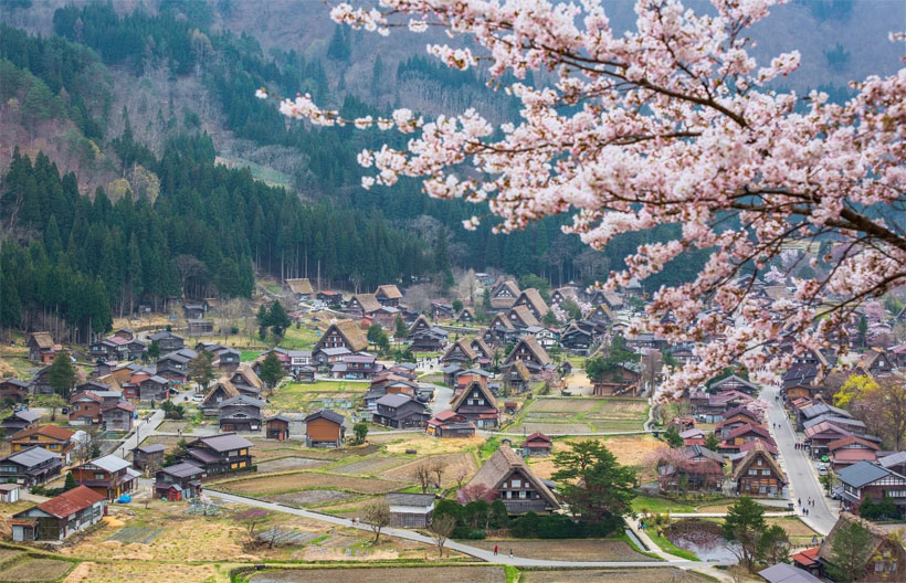 ทัวร์ญี่ปุ่น  โอซาก้า ทาคายาม่า  FUKUI IZUMI SKI วัดปราสาททอง ศาลเจ้าเฮอัน ย่านชินไซบาชิ 5 วัน 3 คืน สายการบินแอร์เอเชียเอ๊กซ์