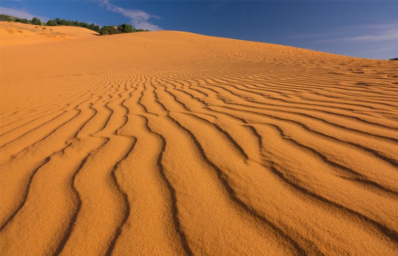 ทัวร์เวียดนามใต้ โฮจิมินห์ มุยเน่ ดาลัด สวนดอกไฮเดรนเยีย ทะเลทรายขาว ลำธารนางฟ้า  4 วัน 3 คืน สายการบินเวียดนาม แอร์ไลน์