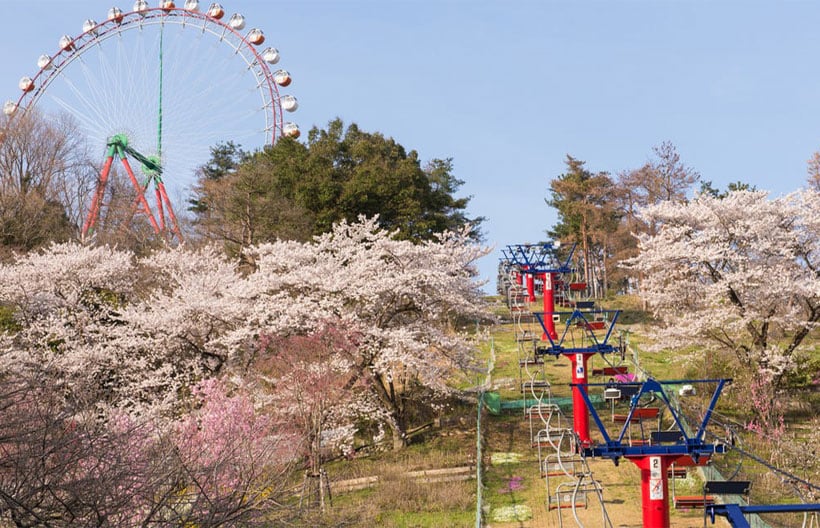 ทัวร์ญี่ปุ่น โตเกียว ฟูจิ สวนซากามิโกะ รีสอร์ท สวนอุเอโนะ หมู่บ้านโอชิโนะฮัคไค  ล่องเรือทะเลสาบอาชิ 5 วัน 3 คืน สายการบินแอร์เอเชียเอ๊กซ์