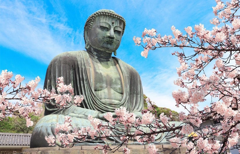 ทัวร์ญี่ปุ่น โตเกียว ฟูจิ เทศกาล Matsuda Sakura Festival  เทศกาลประดับไฟ ซากามิโกะ วัดอาซากุสะ 5 วัน 3 คืน สายการบินแอร์เอเชียเอ๊กซ์