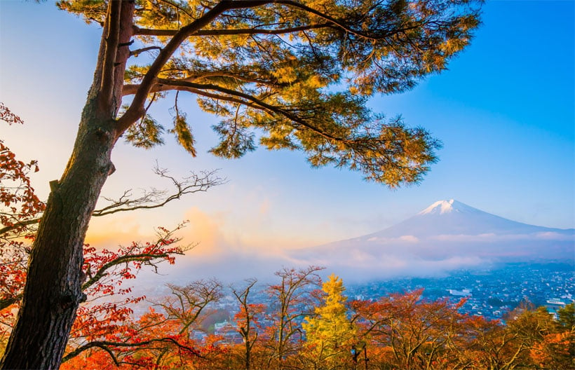 ทัวร์ญี่ปุ่น โตเกียว วัดนาริตะซัน ชินโชจิ หมู่บ้านน้ำใสโอชิโนะฮัคไค TOYOSU SENKYAKU BANRAI  สวนเมจิจิงกูไกเอ็น 5 วัน 3 คืน สายการบินแอร์เอเชียเอ๊กซ์