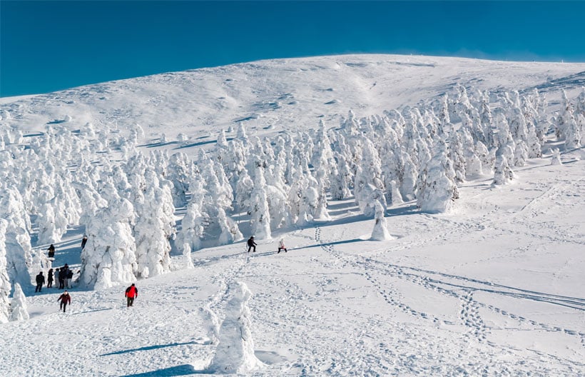 ทัวร์ญี่ปุ่น โตเกียว นิกโก้ ฟุกุชิมะ SNOW MONSTER หมู่บ้านสุนัขจิ้งจอกซาโอะ วัดอาซากุสะ ช้อปปิ้งชินจูกุ 7 วัน 4 คืน สายการบินไทย