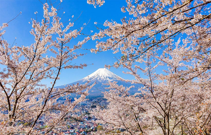 ทัวร์ญี่ปุ่น นาโกย่า ฟูจิ FUJIYAMA TOWER จุดชมวิวฟูจิแบบพาโนราม่า  หมู่บ้านชิราคาวาโกะ สวนดอกไม้นะบะนะ โนะ ซาโตะ ช้อปปิ้งย่านซาคาเอะ 6 วัน 4 คืน สายการบินแอร์เอเชียเอ๊กซ์