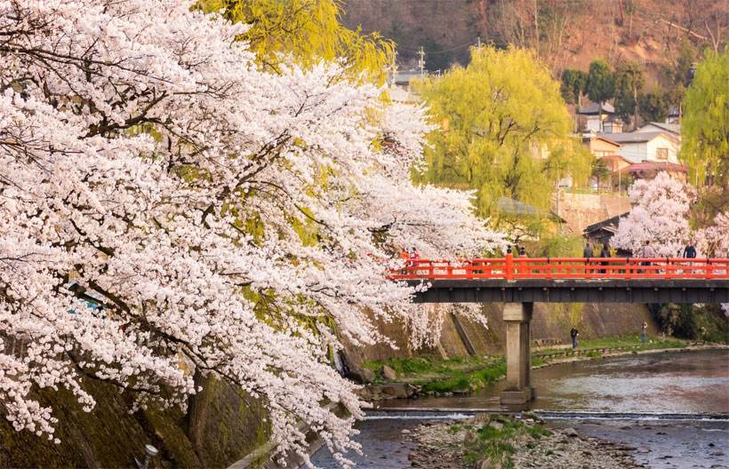 ทัวร์ญี่ปุ่น  โอซาก้า ทาคายาม่า  FUKUI IZUMI SKI วัดปราสาททอง ศาลเจ้าเฮอัน ย่านชินไซบาชิ 5 วัน 3 คืน สายการบินแอร์เอเชียเอ๊กซ์